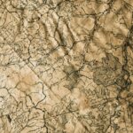 geo grids vs traditional rank tracking