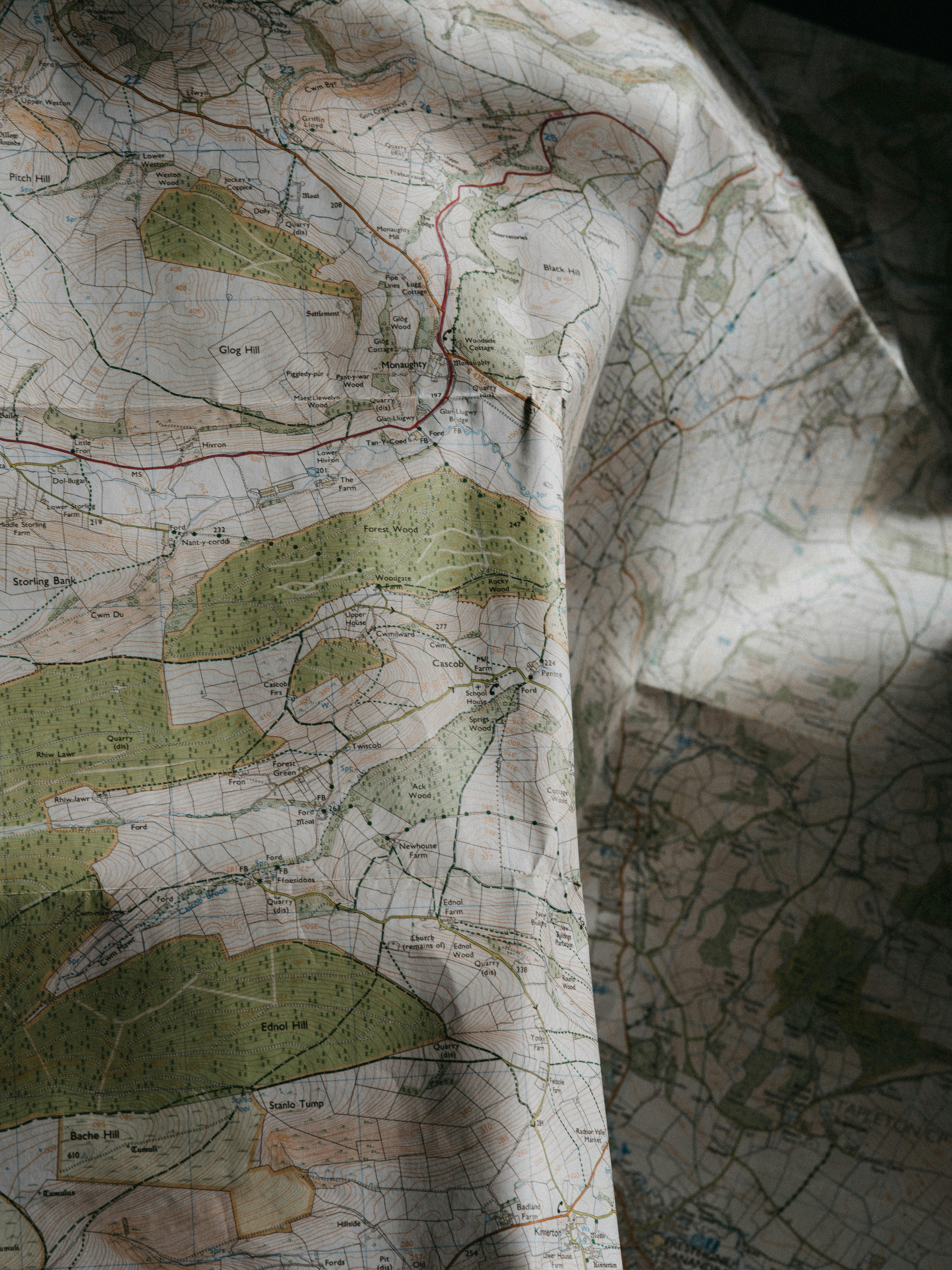 local SEO intelligence